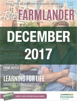 Plan 365 December 2017