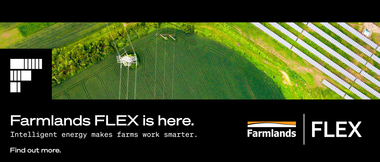 flex-hompage-banner