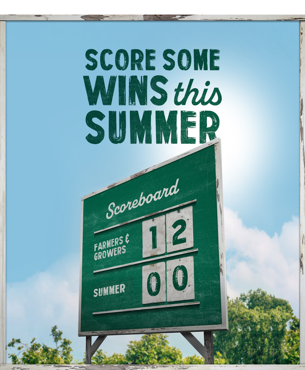 summer-surge-homepage-banner