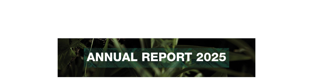 Annual Report 2024