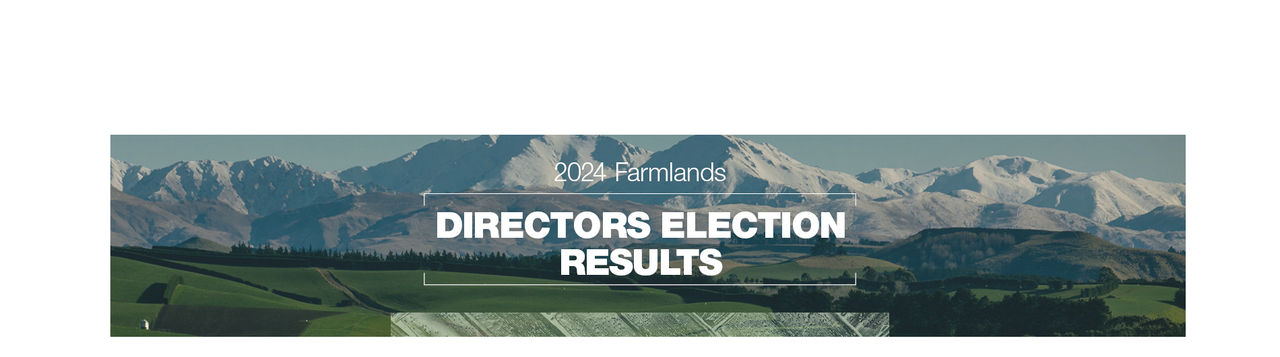 directors elections desktop