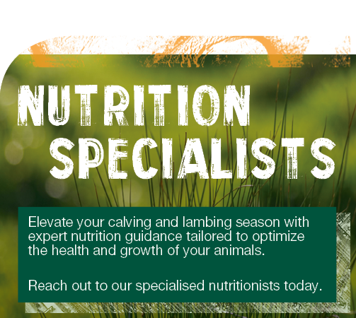 nutrition specialist mobile
