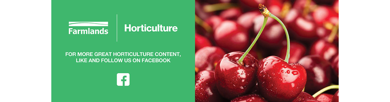 desktop hort banner