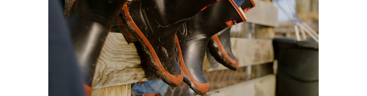 desktop midbody image