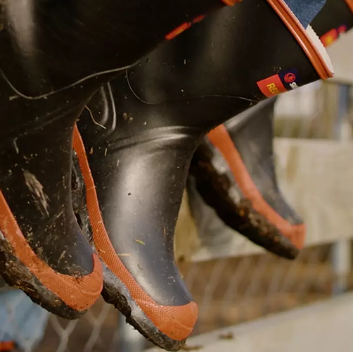 midbody mobile image